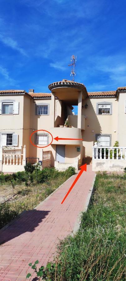 Zeus Beach La Mata Торевьиа Экстерьер фото